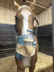 The device on her face acts like an inhaler for horses. The light sensitive medicines are placed in the cup, which the horse then breathes in.